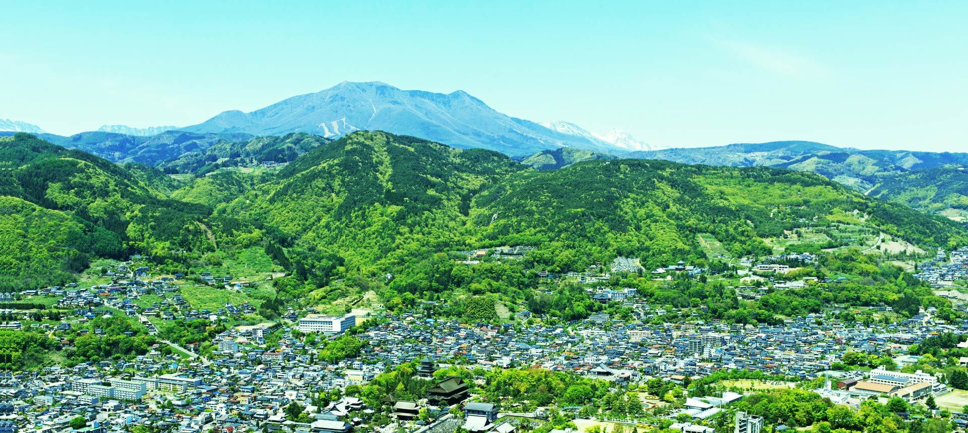 長野市医師会ホームページ